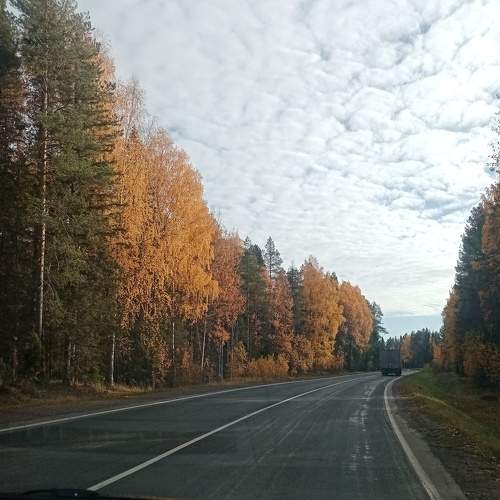 Photo #6578471