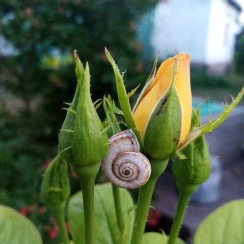 Photo #6578866