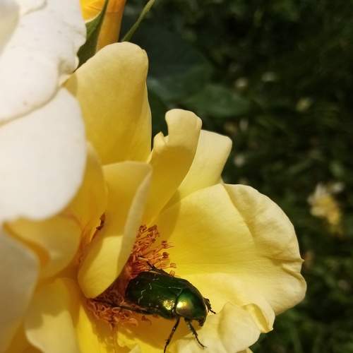Photo #6578869