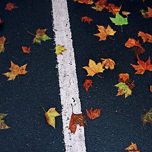 Photo #6578887