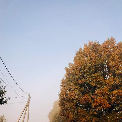 Photo #6578968