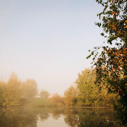 Photo #6578969