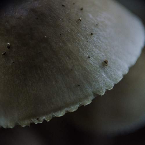 Photo #6579063
