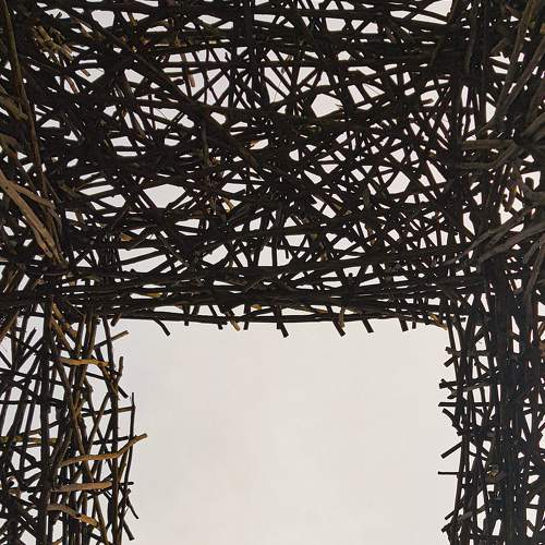 Photo #6579345