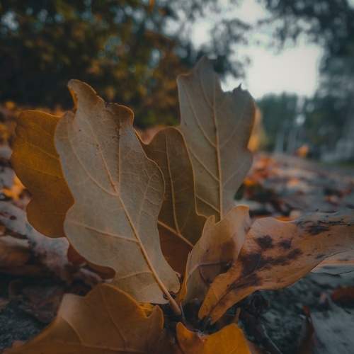 Photo #6579354