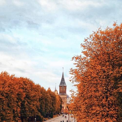 Photo #6579386