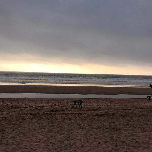 Photo #6579415