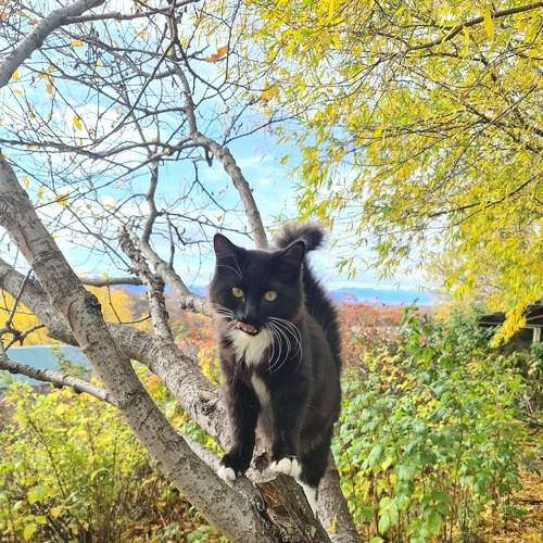 Photo #6579492