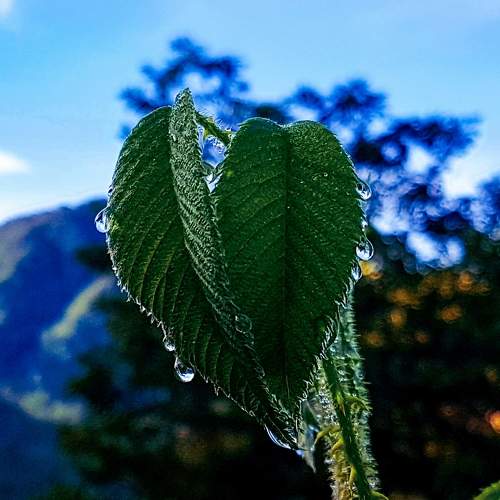 Photo #6579553