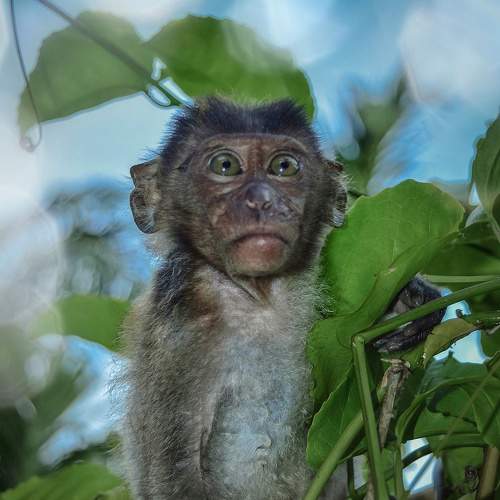 Photo #6579596