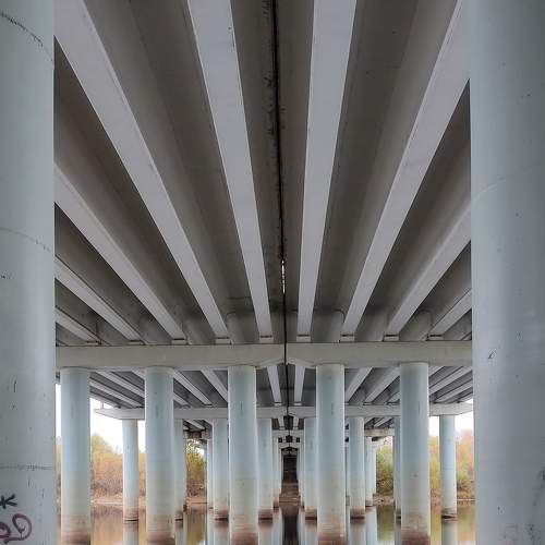 Photo #6579651