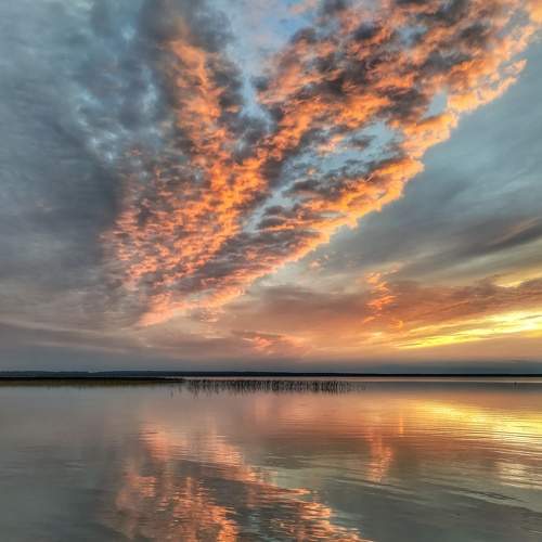 Photo #6579786