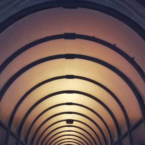 Photo #6579833