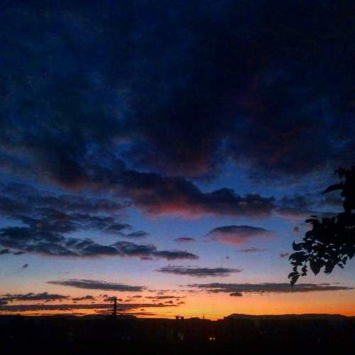 Photo #6579881