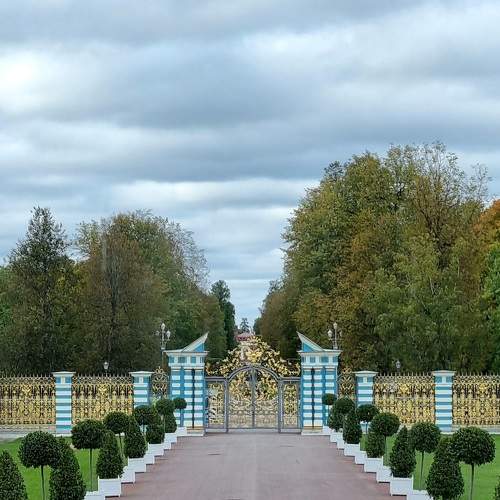 Photo #6580008