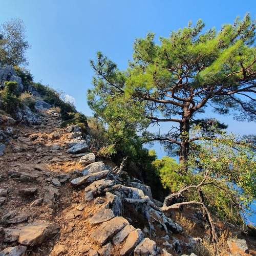 Photo #6580042
