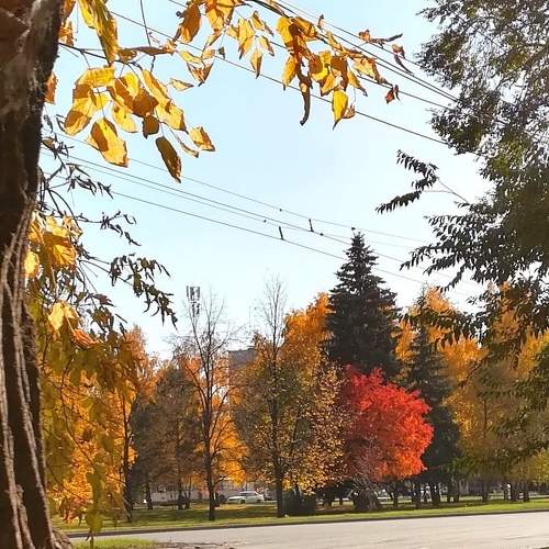 Photo #6580118