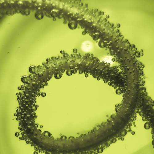 Photo #6580235