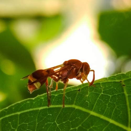 Photo #6580237