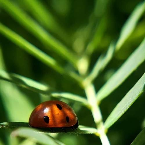 Photo #6580357