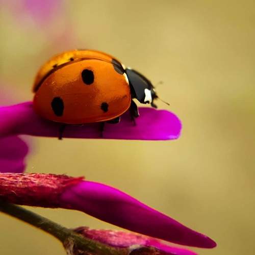 Photo #6580378