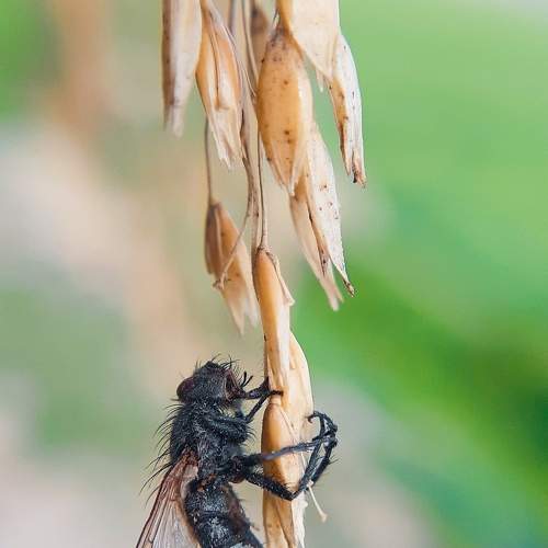 Photo #6580455