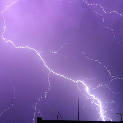 Photo #6580493