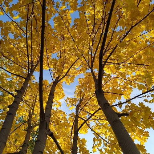 Photo #6580597