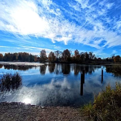 Photo #6581040