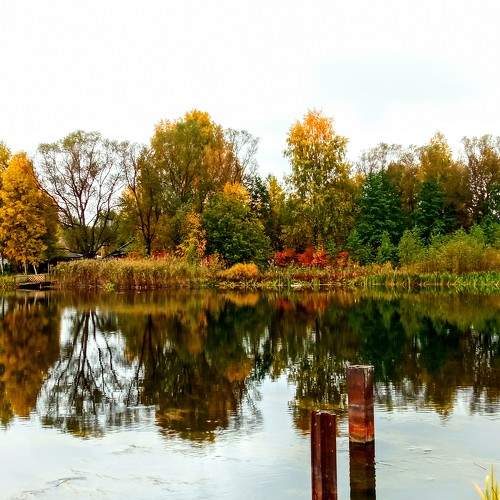 Photo #6581093