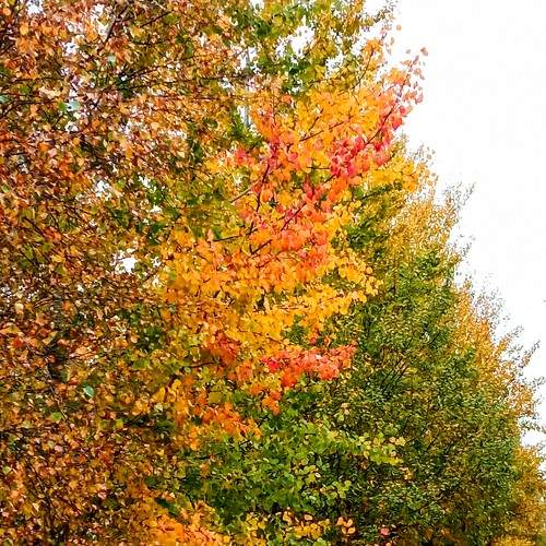 Photo #6581094