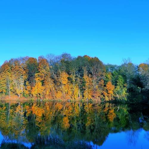 Photo #6581254