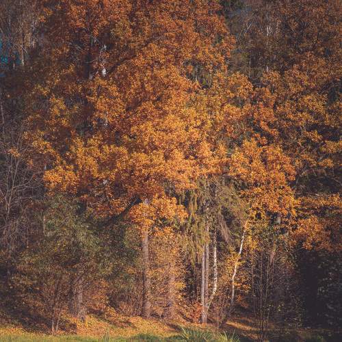 Photo #6581263