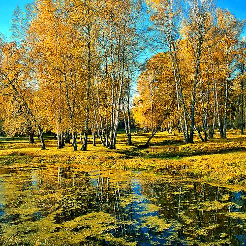 Озеро Лесное