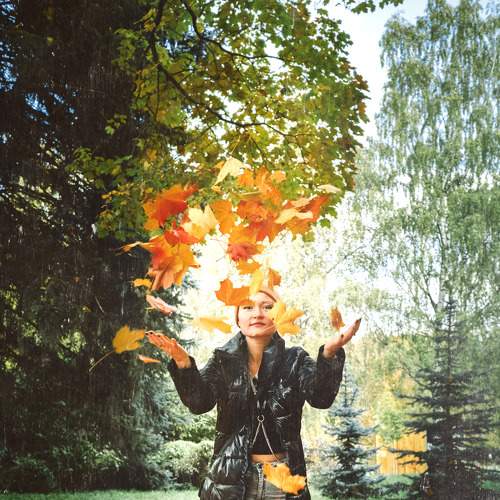 Photo #6581273