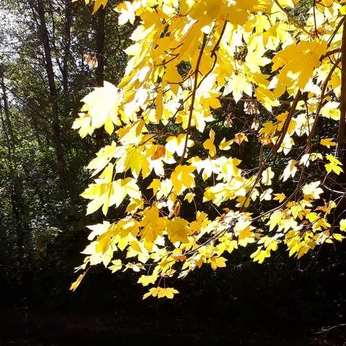 Photo #6581653