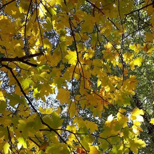Photo #6581657