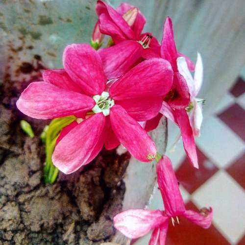 Photo #6581858