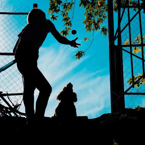 Photo #6581904
