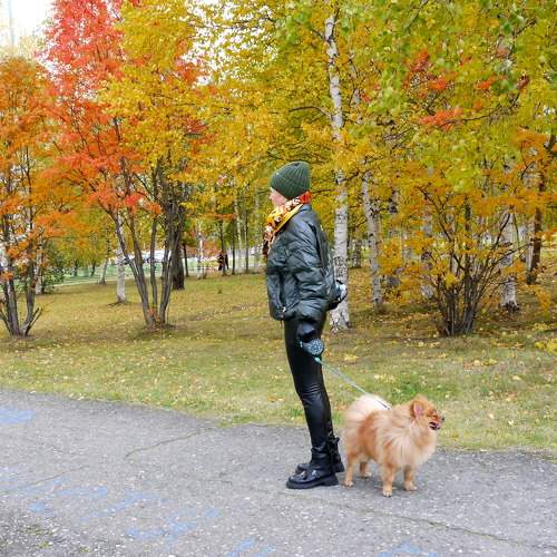 Photo #6582115