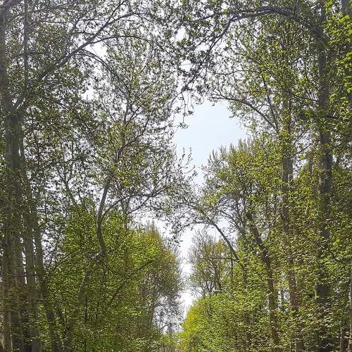 Photo #6582350