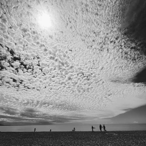Photo #6582527