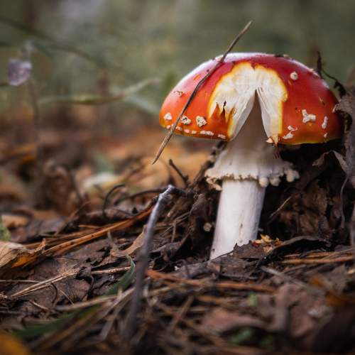 Photo #6582712