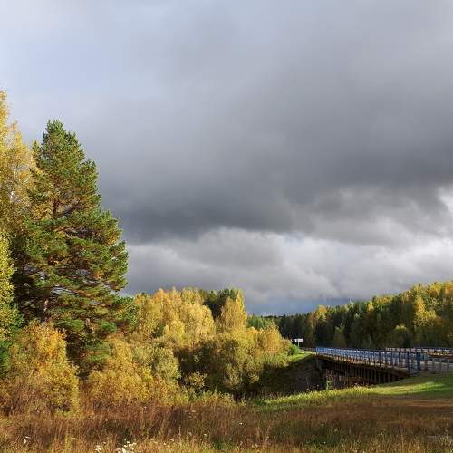 Photo #6582944