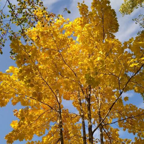 Photo #6583009