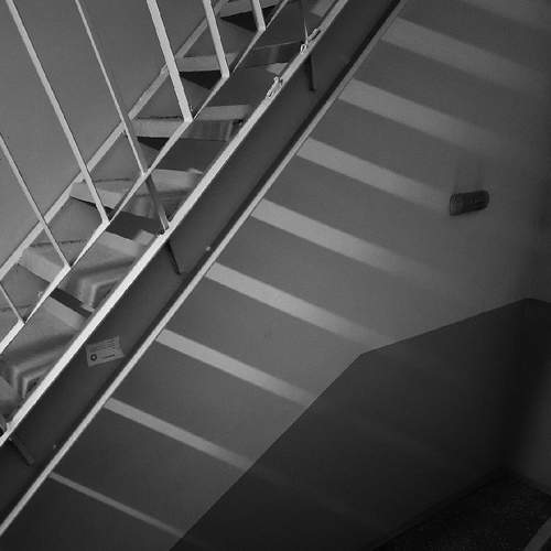 Photo #6583050