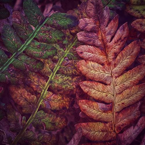 Photo #6583175