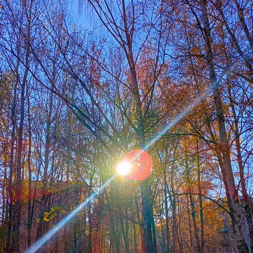 Photo #6583363