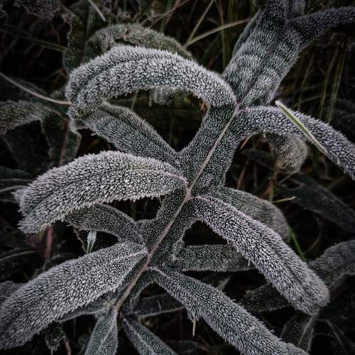 Photo #6583368