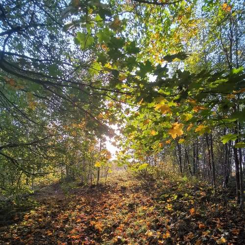 Photo #6583389